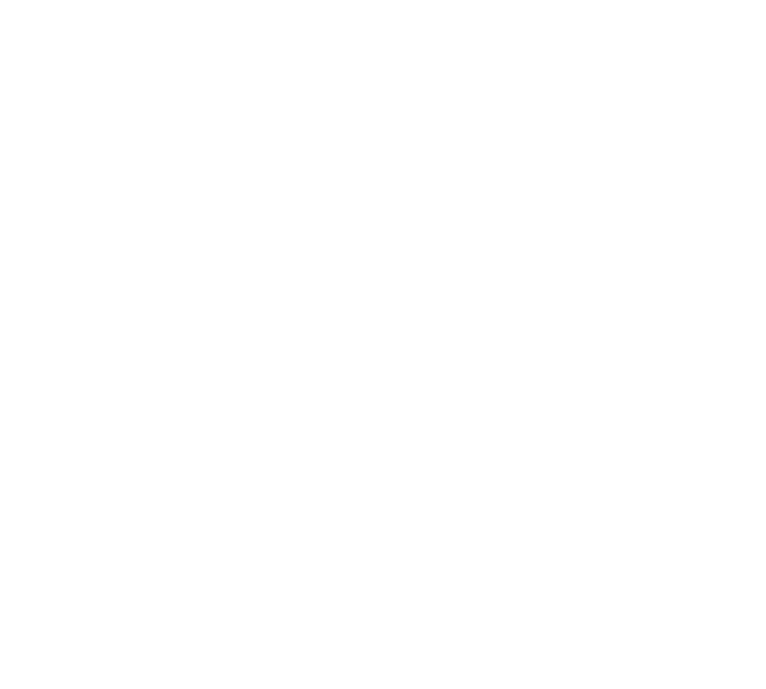 feature-item-1